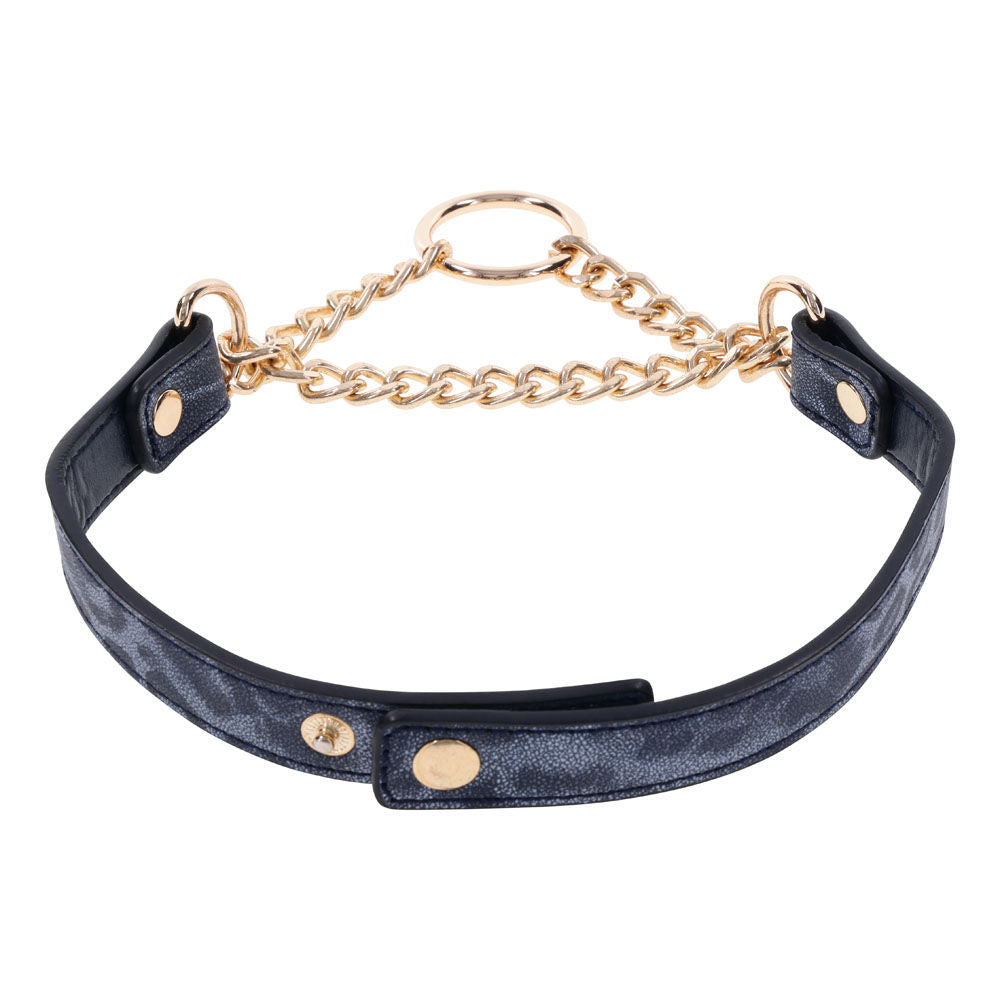 Elegant navy and gold BDSM day collar with fixed chain and gold ring from Sex & Mischief – perfect for light bondage and stylish wear, back | Flirty bay online adult store, adult toys and lingerie