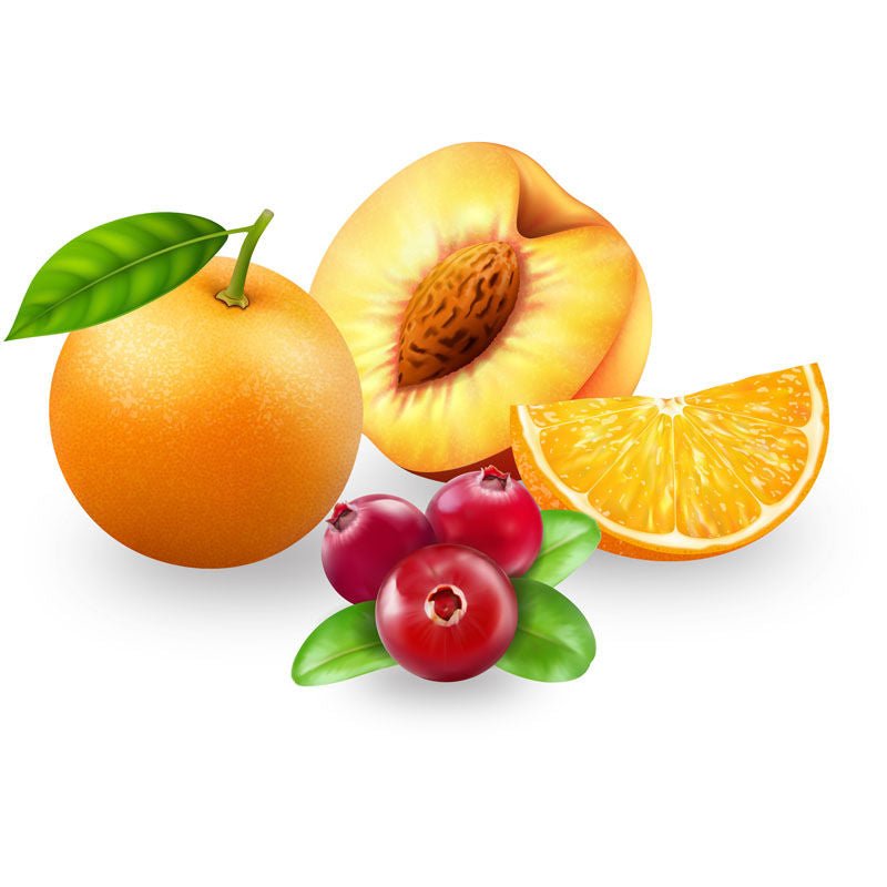 Gender x - beach bliss flavoured water-based lubricant - 120 ml - Fruits front view  | Flirtybay.com.au