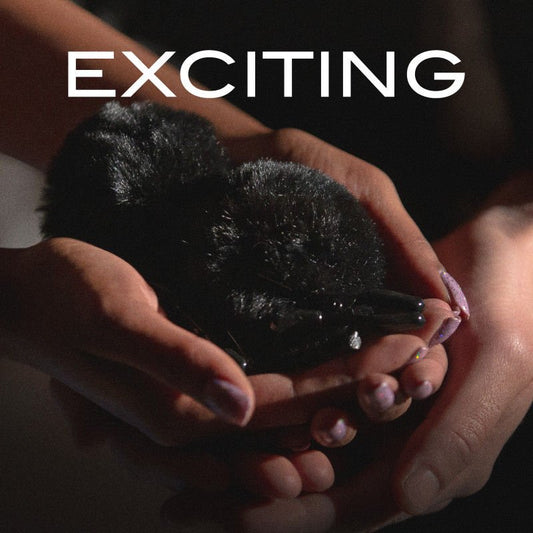 Noir pom adjustable nipple clamps - Product bottom view  | Flirtybay.com.au