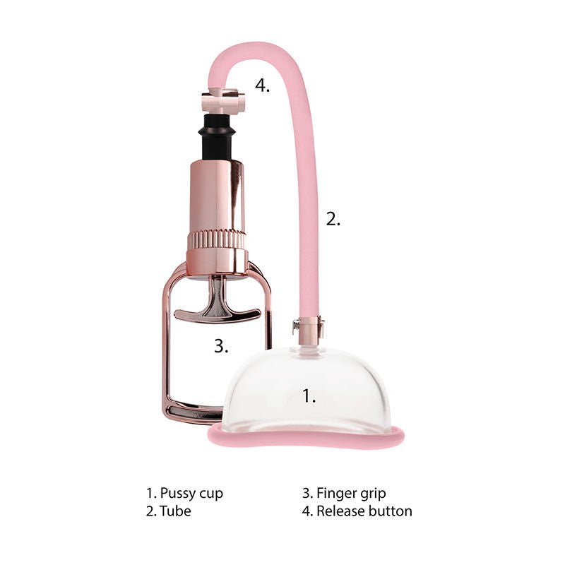 Pumped - pussy pump - Product front view, focus on pump  | Flirtybay.com.au